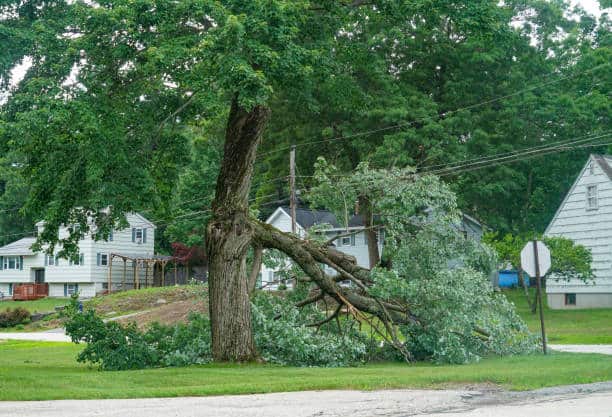 Storm Damage Clean Up and Insurance Claims service