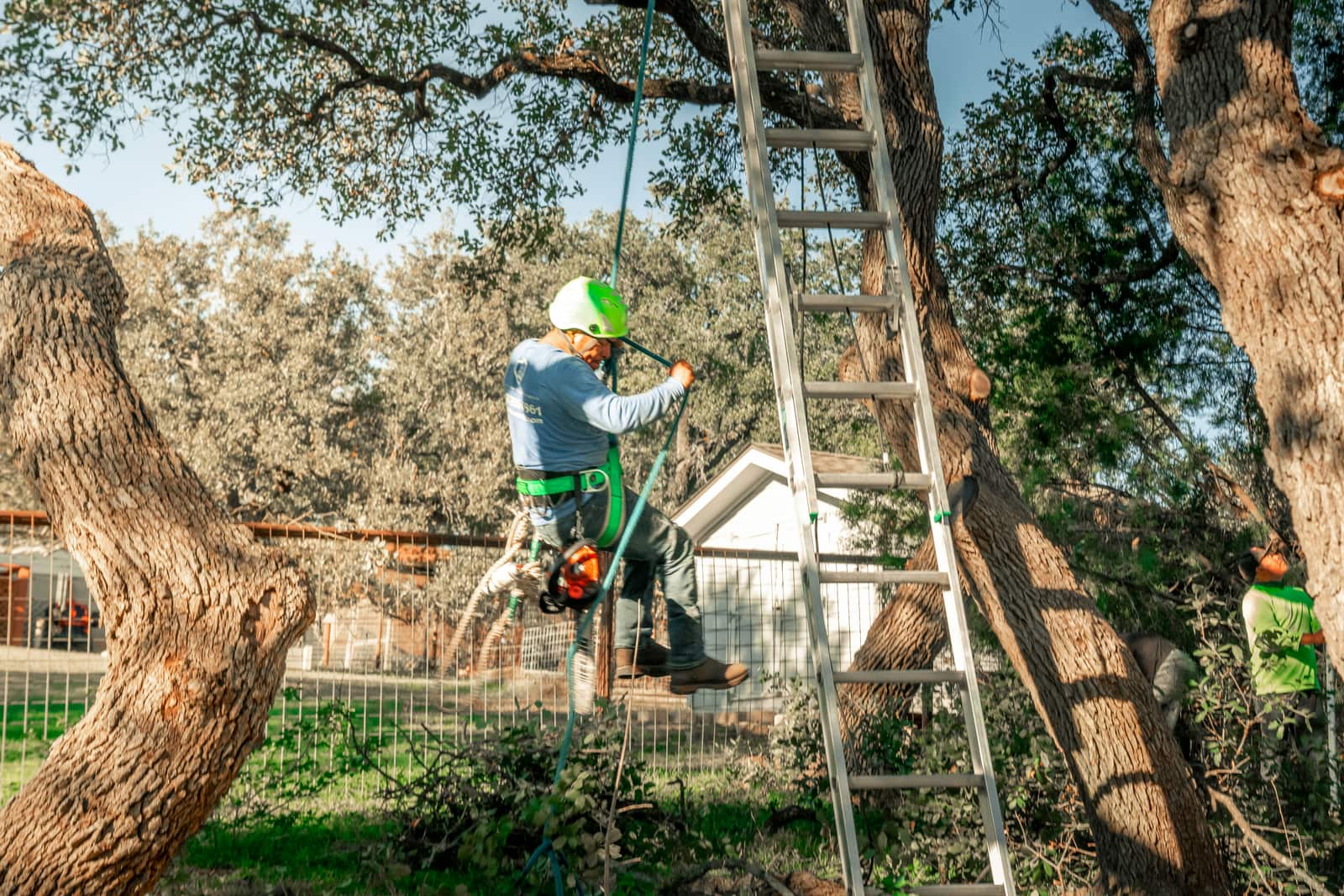 Structural and Subordinate Pruning service